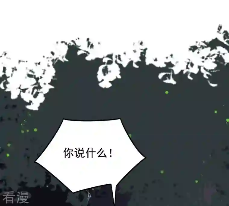 战神狂妃：凤倾天下第59话 以退为进