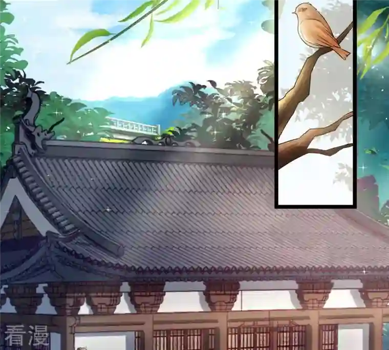 战神狂妃：凤倾天下第62话 存心试探