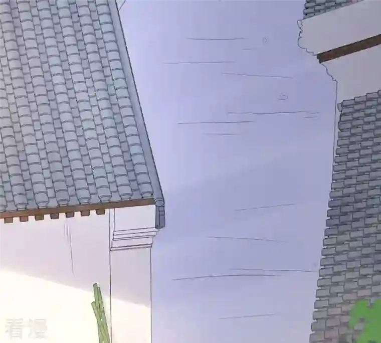 战神狂妃：凤倾天下第65话 朱雀令
