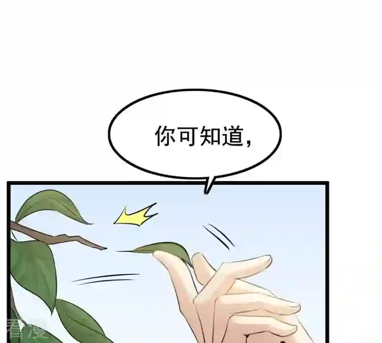 战神狂妃：凤倾天下第65话 朱雀令