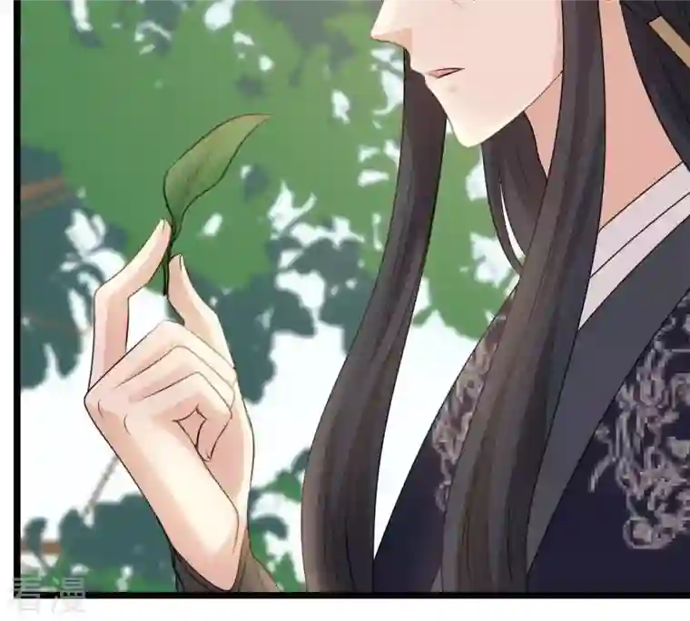 战神狂妃：凤倾天下第65话 朱雀令