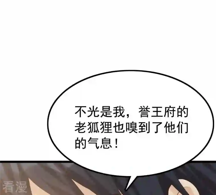 战神狂妃：凤倾天下第65话 朱雀令