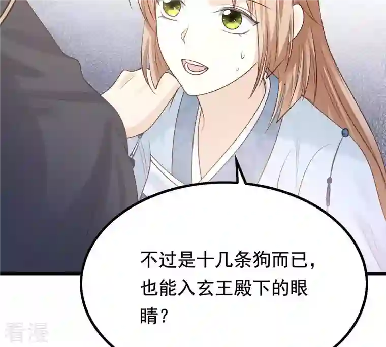 战神狂妃：凤倾天下第68话 小狐狸和大灰狼