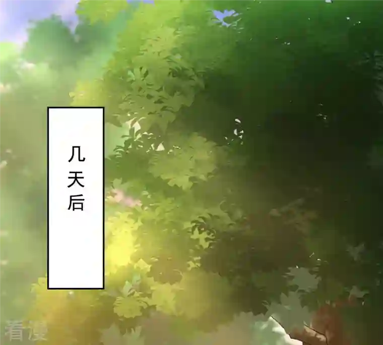 战神狂妃：凤倾天下第80话 红衣夫人