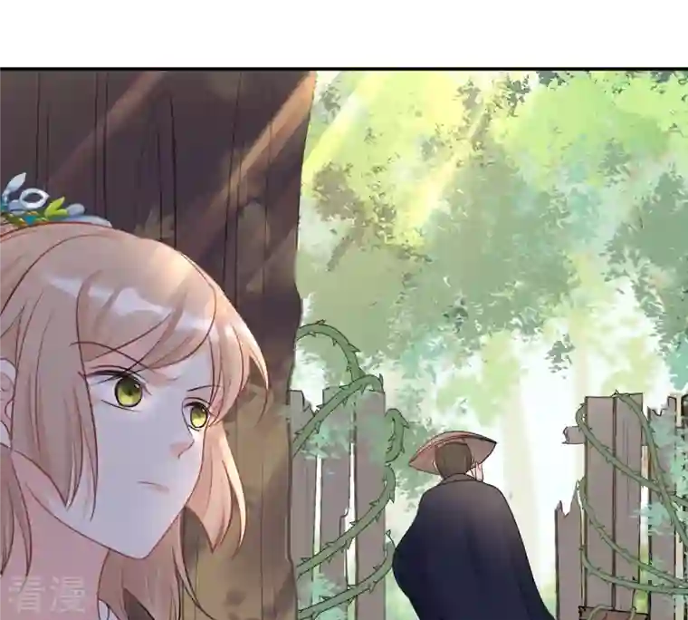 战神狂妃：凤倾天下第91话 给太妃下毒