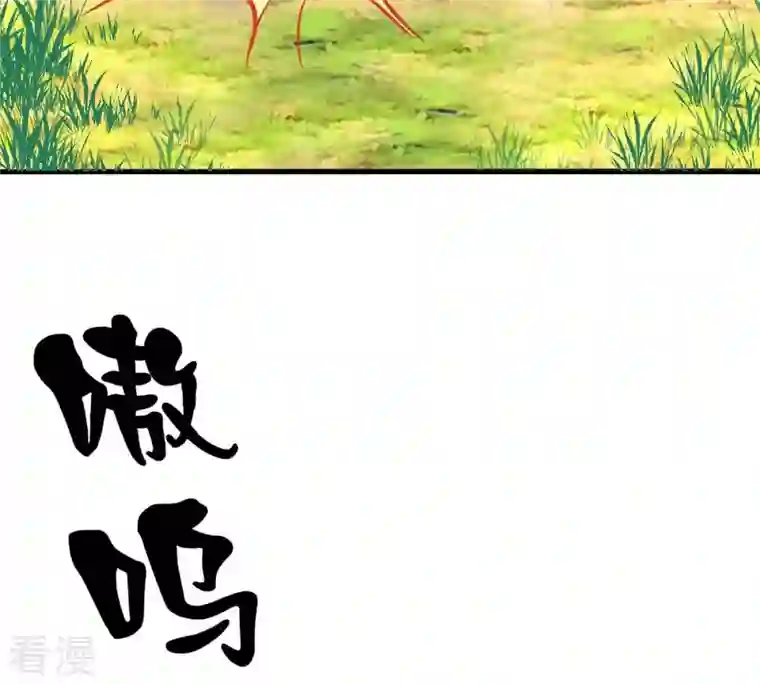 战神狂妃：凤倾天下第92话 再行险招