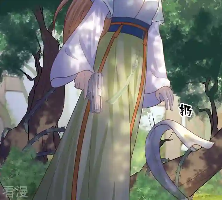 战神狂妃：凤倾天下第92话 再行险招