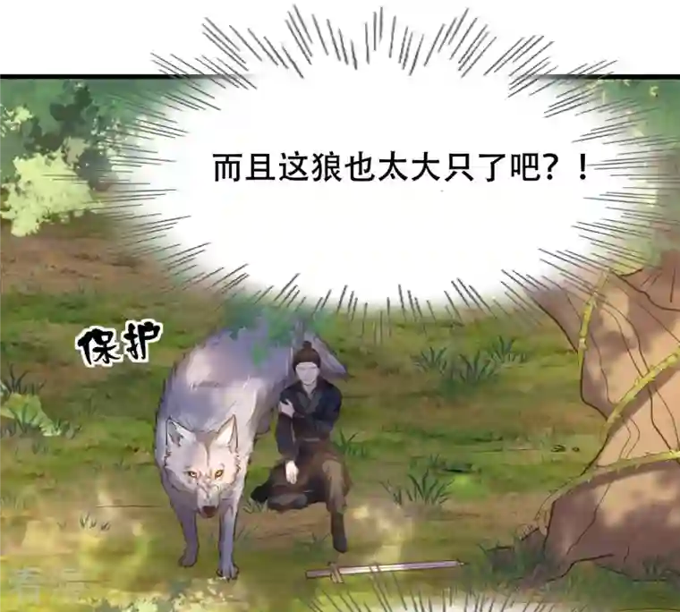 战神狂妃：凤倾天下第92话 再行险招