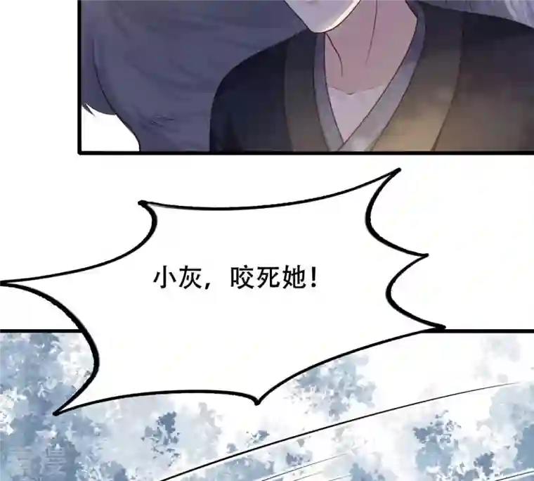 战神狂妃：凤倾天下第92话 再行险招
