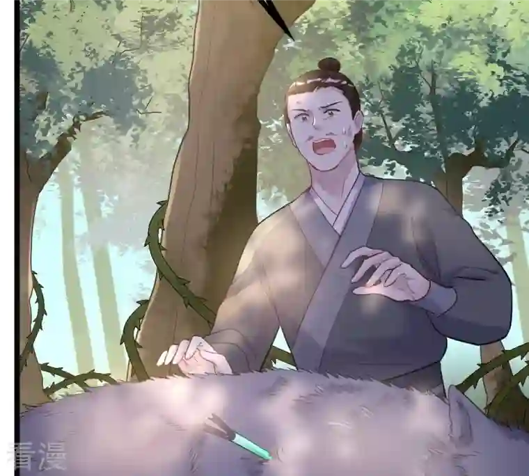 战神狂妃：凤倾天下第93话 神秘男子