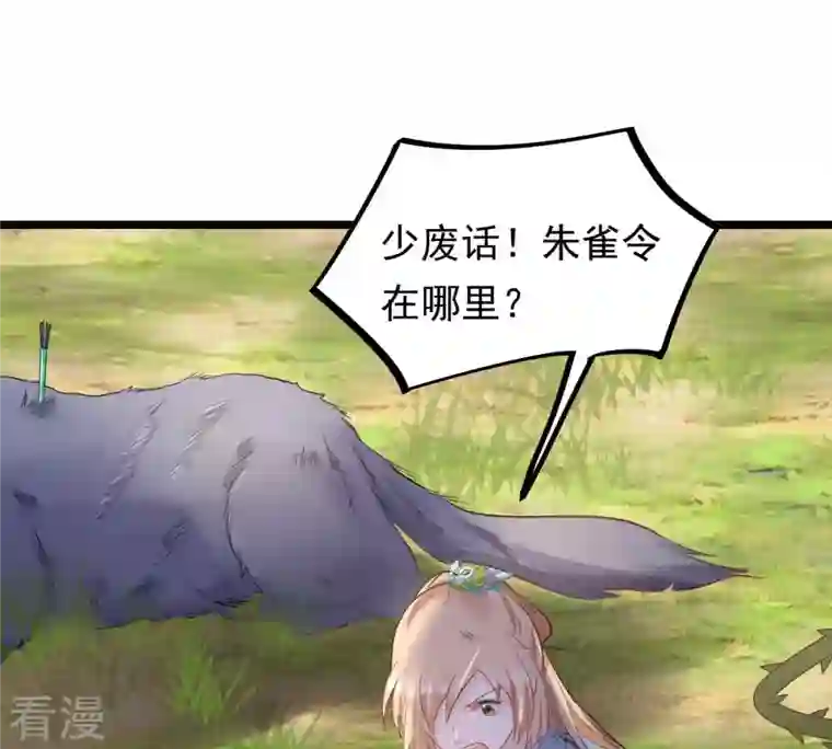 战神狂妃：凤倾天下第93话 神秘男子