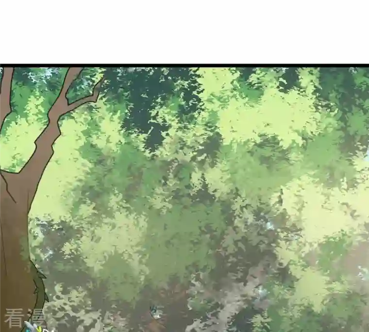 战神狂妃：凤倾天下第93话 神秘男子