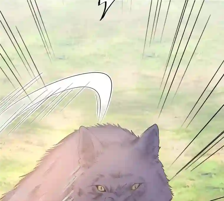 战神狂妃：凤倾天下第93话 神秘男子