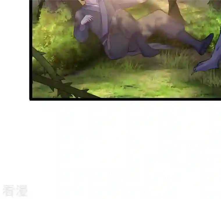 战神狂妃：凤倾天下第93话 神秘男子
