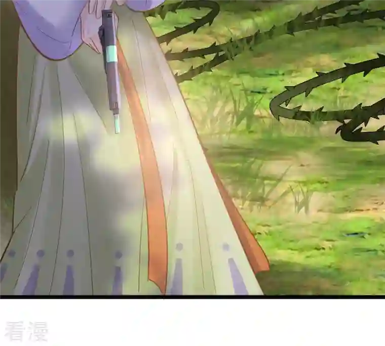 战神狂妃：凤倾天下第93话 神秘男子