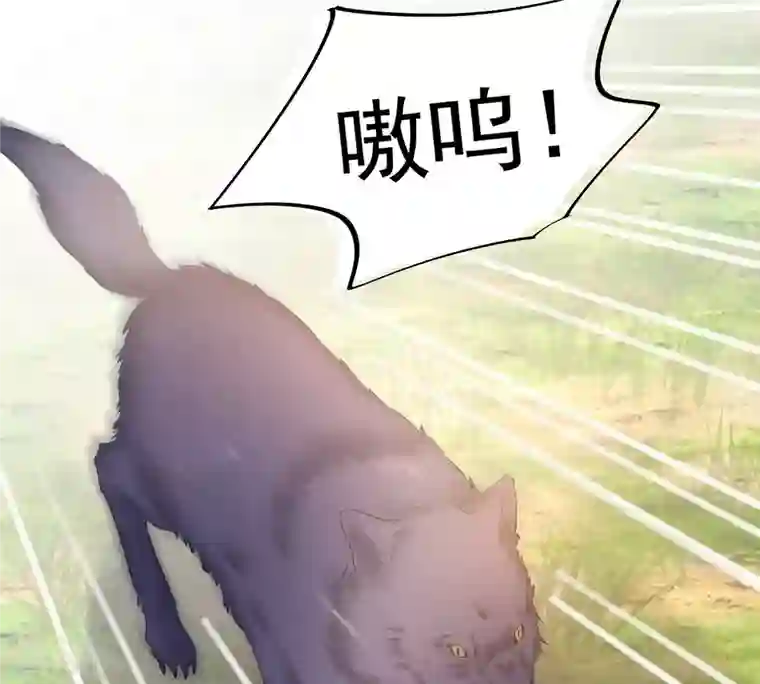 战神狂妃：凤倾天下第93话 神秘男子