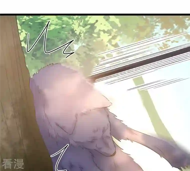 战神狂妃：凤倾天下第93话 神秘男子