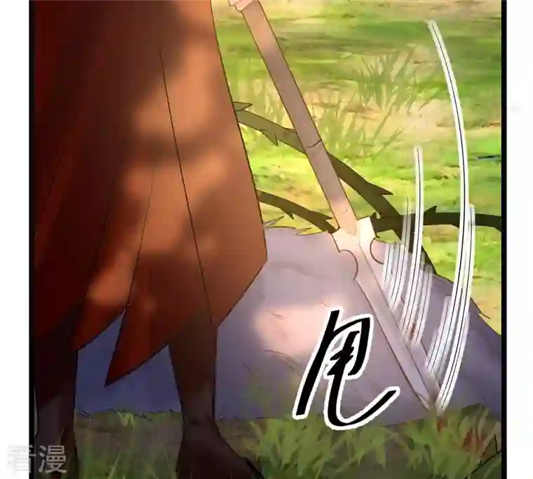 战神狂妃：凤倾天下第93话 神秘男子