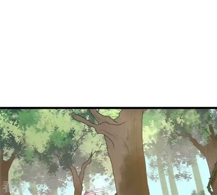 战神狂妃：凤倾天下第93话 神秘男子