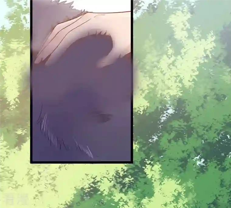 战神狂妃：凤倾天下第93话 神秘男子