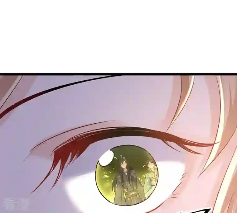 战神狂妃：凤倾天下第93话 神秘男子