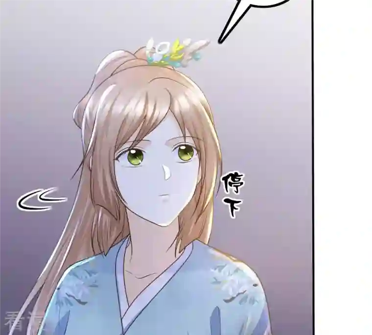 战神狂妃：凤倾天下第96话 贺寿