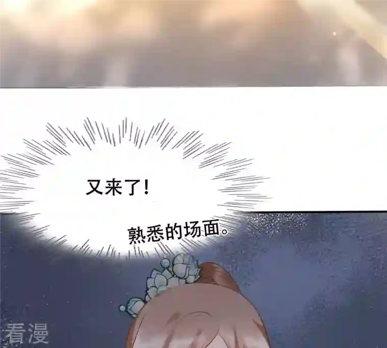 战神狂妃：凤倾天下第96话 贺寿