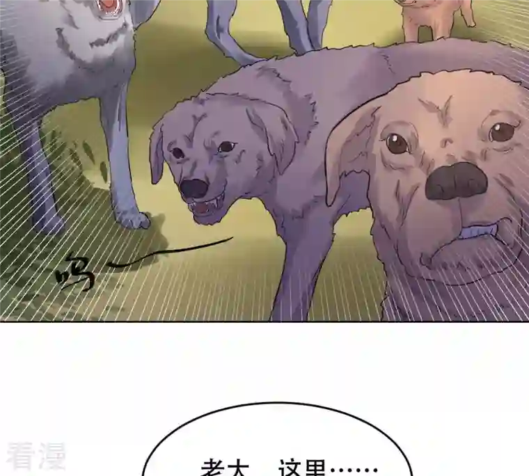 战神狂妃：凤倾天下第106话 再遇红衣男子
