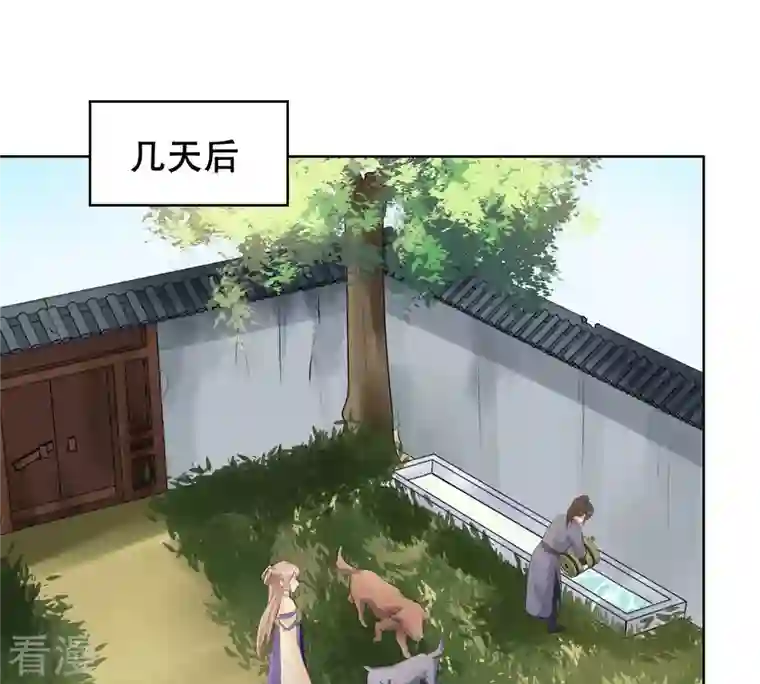战神狂妃：凤倾天下第106话 再遇红衣男子