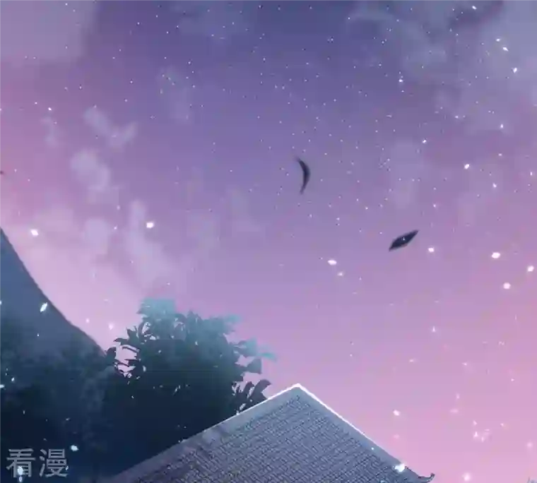 战神狂妃：凤倾天下第128话 保镖已送达