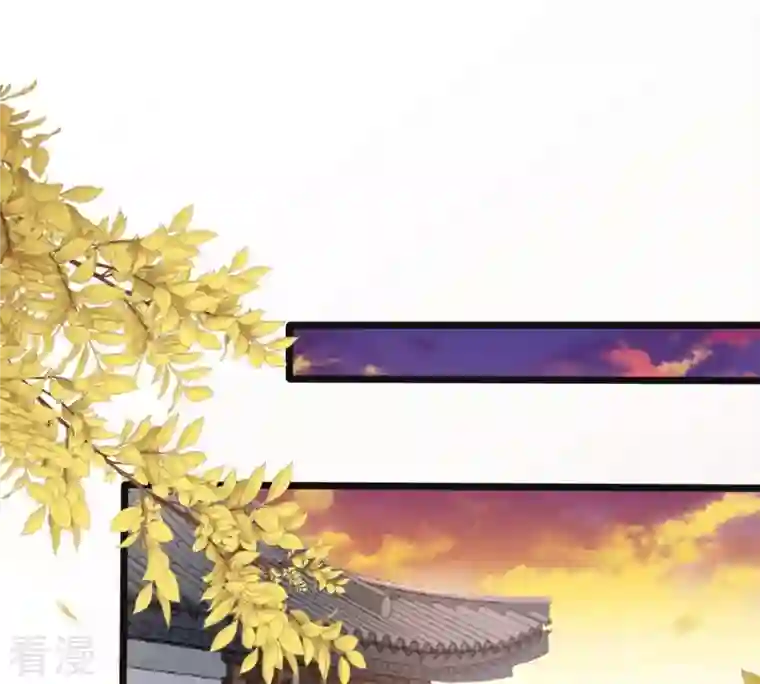 战神狂妃：凤倾天下第151话 生母，仇恨