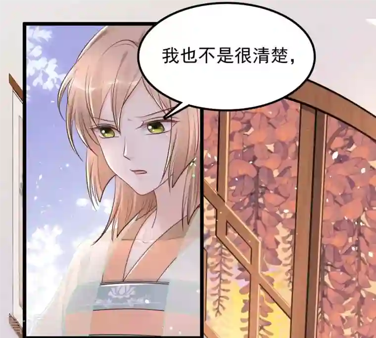 战神狂妃：凤倾天下第151话 生母，仇恨