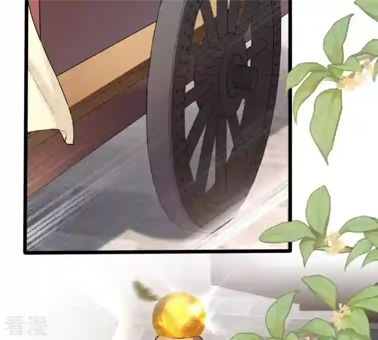 战神狂妃：凤倾天下第152话 皇家马车