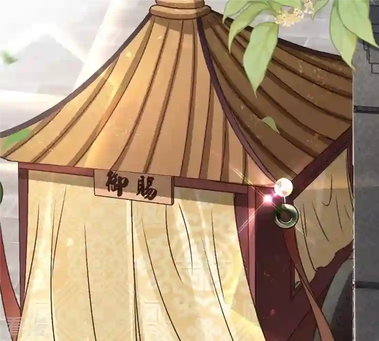 战神狂妃：凤倾天下第152话 皇家马车