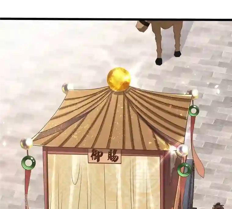 战神狂妃：凤倾天下第152话 皇家马车