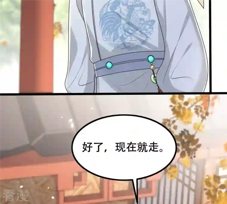 战神狂妃：凤倾天下第154话 算计