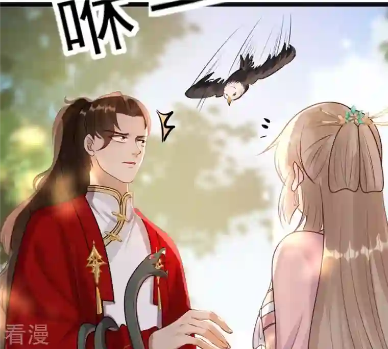 战神狂妃：凤倾天下第157话 凶残小可爱