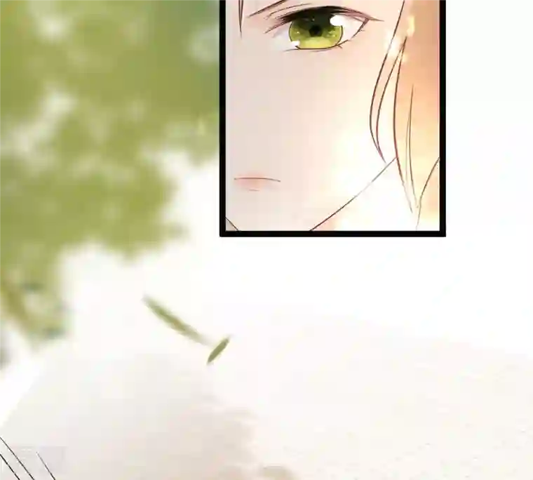 战神狂妃：凤倾天下第159话 玄王让打的！