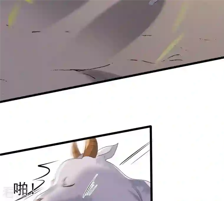 战神狂妃：凤倾天下第164话 变相炫耀