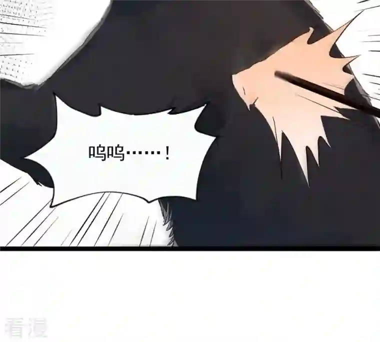 战神狂妃：凤倾天下第166话 明阳县主威武！
