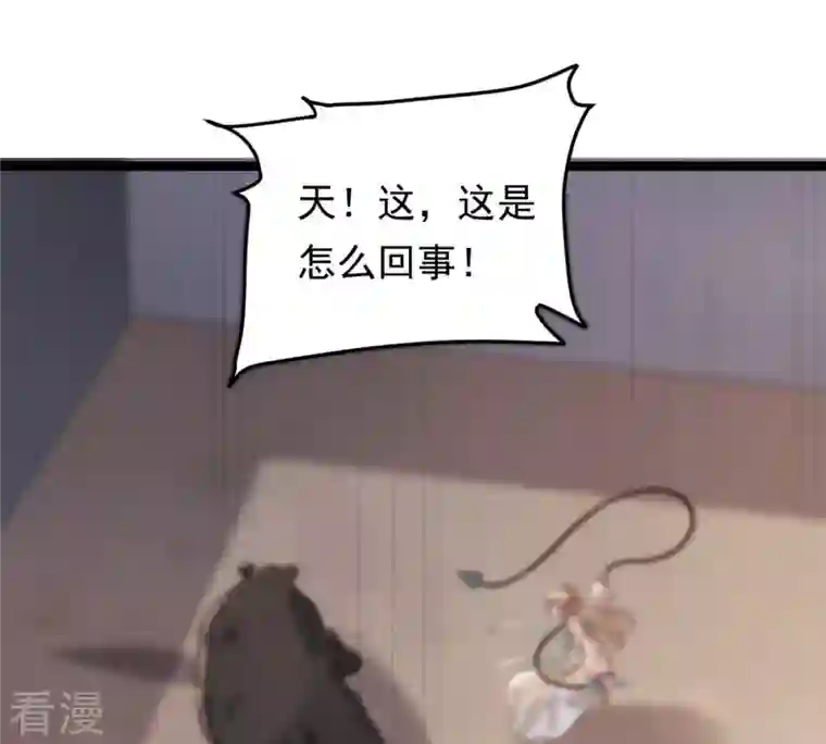 战神狂妃：凤倾天下第166话 明阳县主威武！