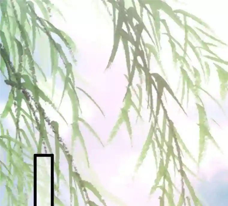 战神狂妃：凤倾天下第181话 赔款