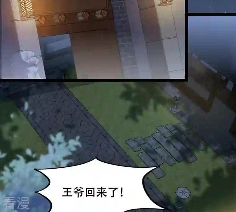 战神狂妃：凤倾天下第185话 早有准备