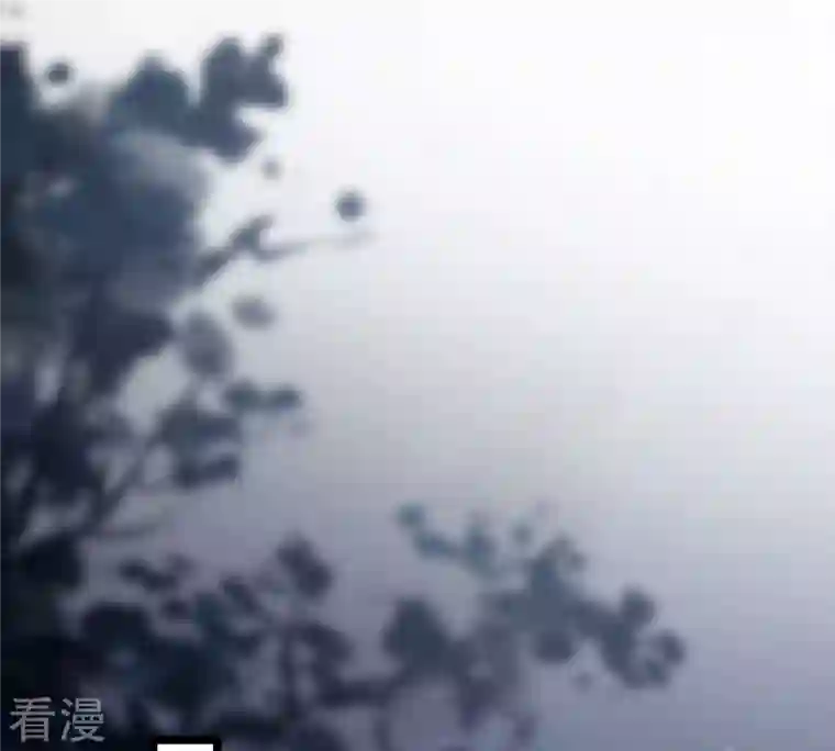战神狂妃：凤倾天下第189话 一个礼物