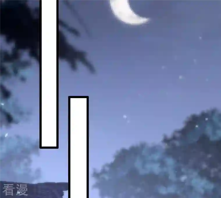 战神狂妃：凤倾天下第189话 一个礼物