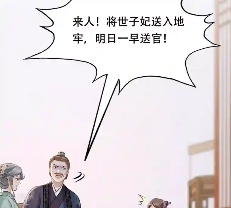 战神狂妃：凤倾天下第190话 算计