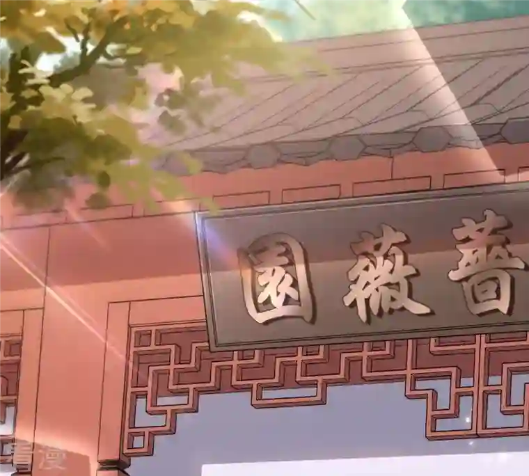 战神狂妃：凤倾天下第199话 合作