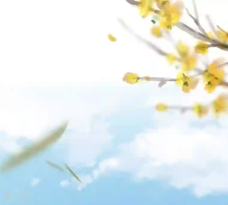 战神狂妃：凤倾天下第207话 比试比试
