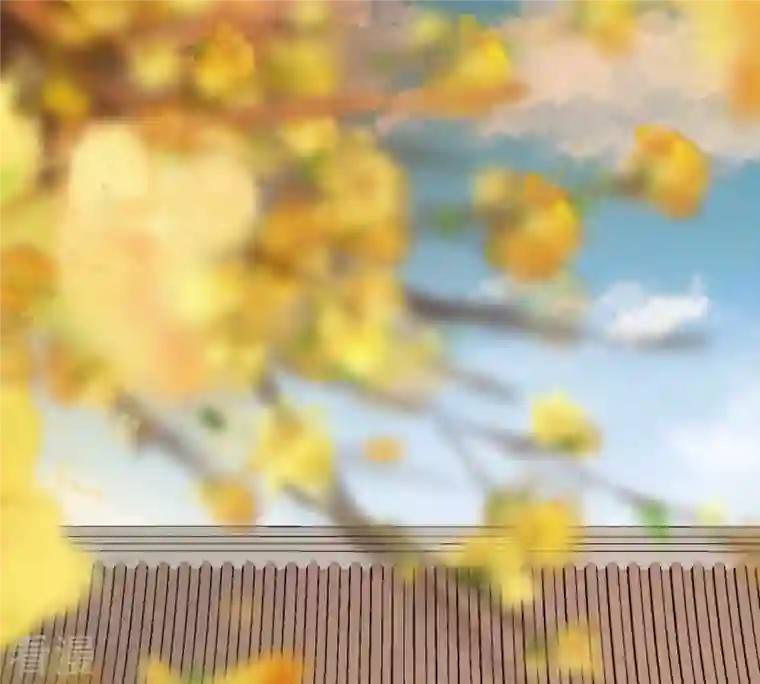 战神狂妃：凤倾天下第207话 比试比试