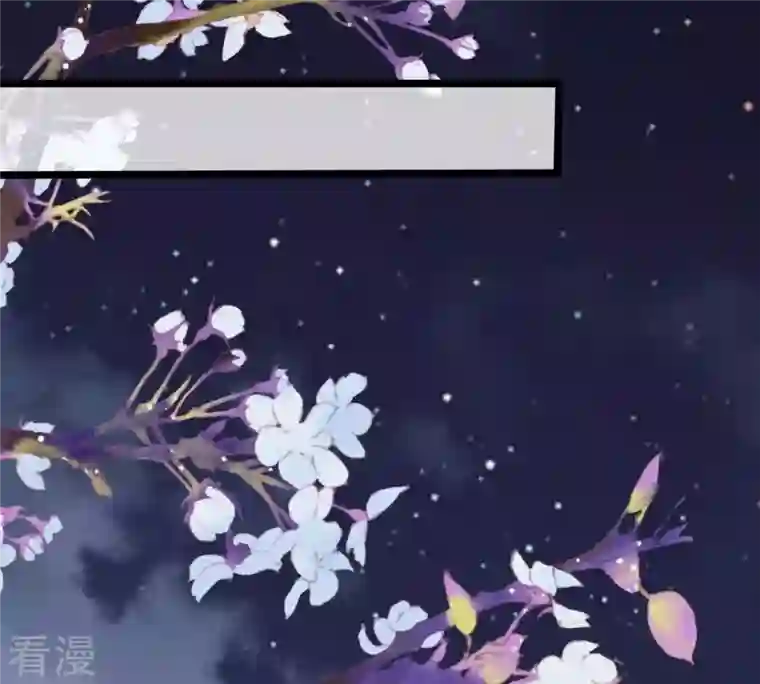 战神狂妃：凤倾天下第216话 玄王妃唯一人选